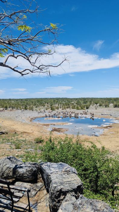 Etosha photo 12
