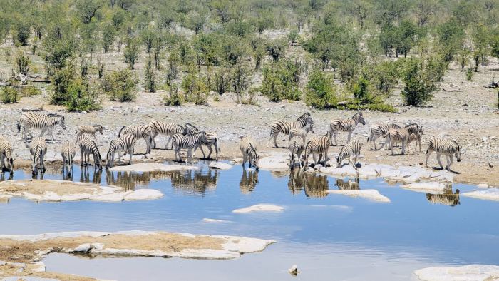 Etosha photo 20