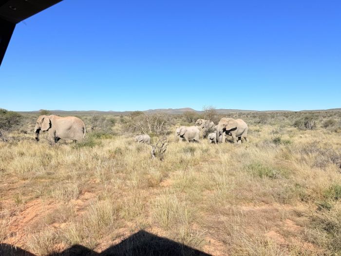 Kalahari photo 21