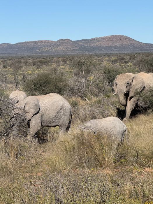 Kalahari photo 24