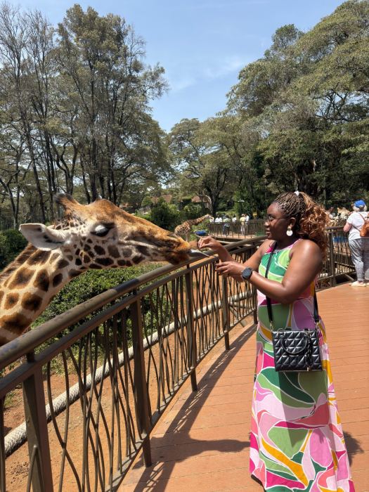 Nairobi photo 6