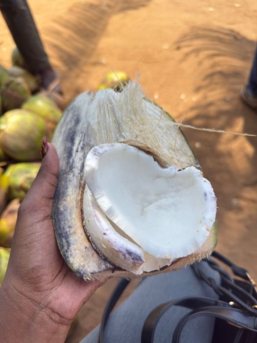 Ouidah photo 14