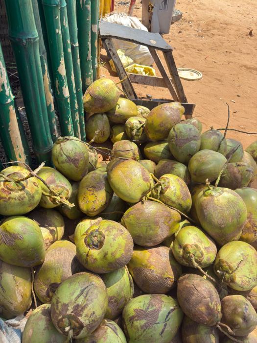 Ouidah photo 15