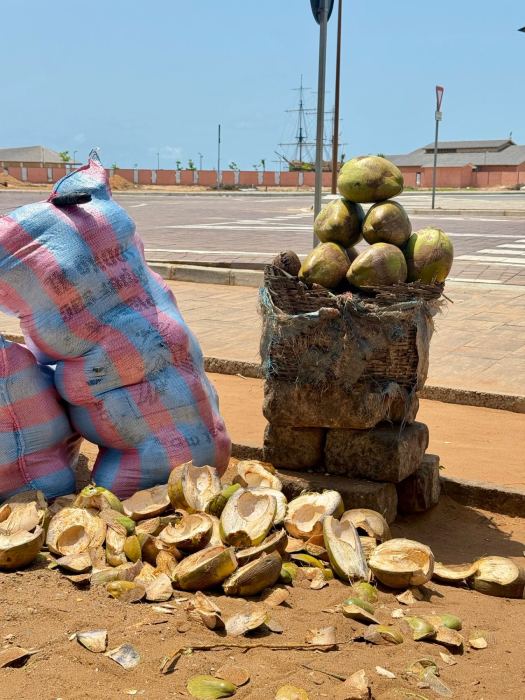 Ouidah photo 16