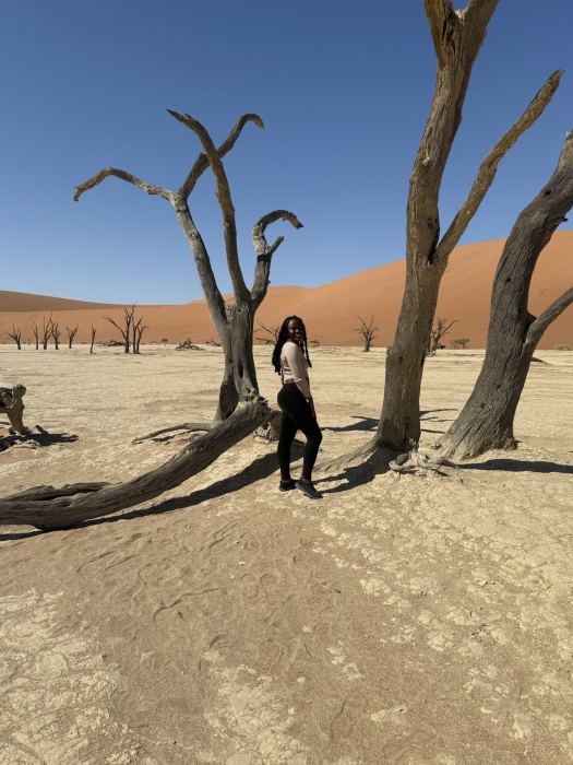 Sossusvlei photo 17