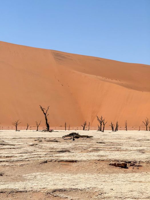 Sossusvlei photo 18