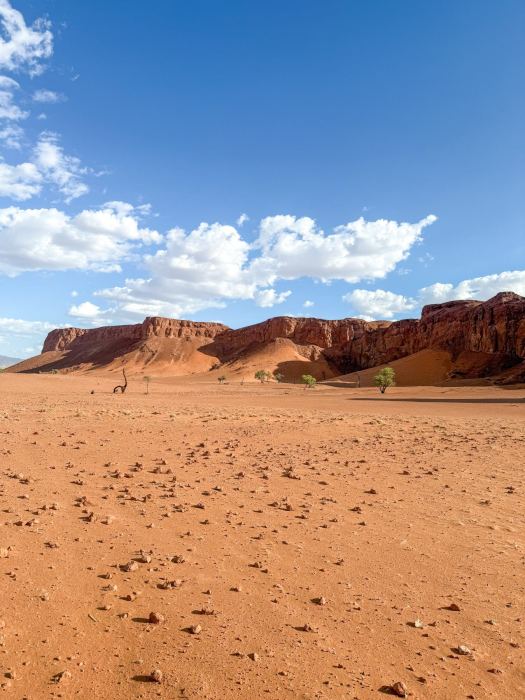 Sossusvlei photo 7