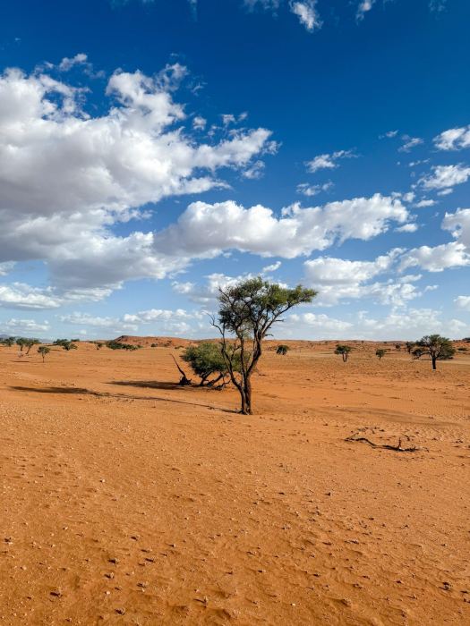 Sossusvlei photo 8