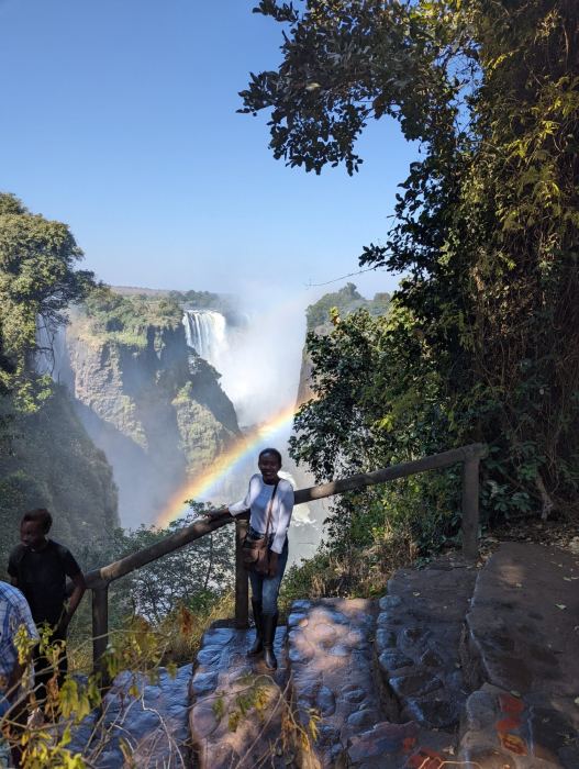 Victoria Falls photo 15