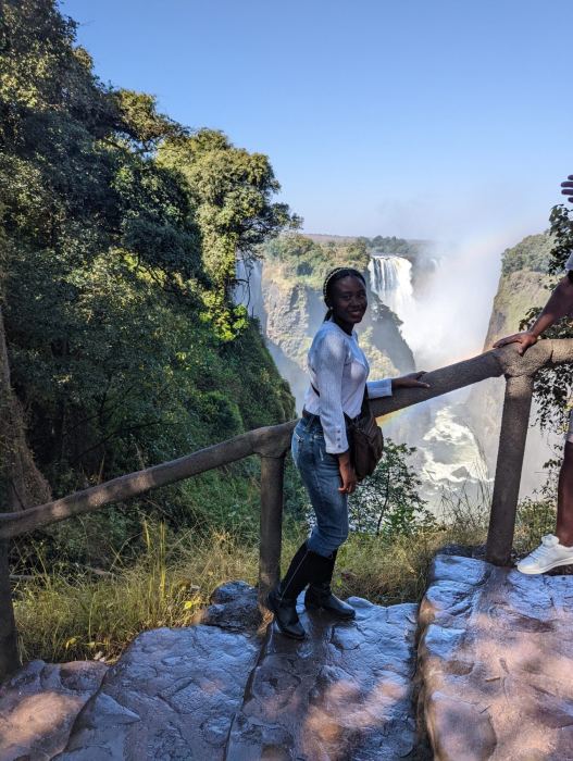 Victoria Falls photo 20