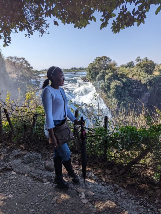 Victoria Falls photo 21