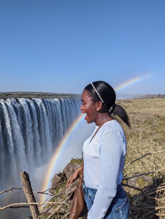 Victoria Falls photo 26