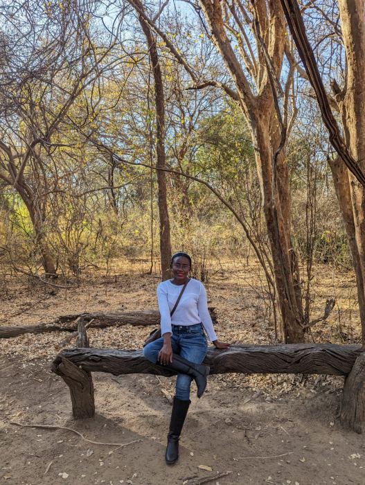 Victoria Falls photo 34