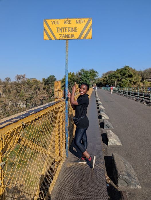 Victoria Falls photo 39