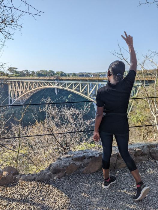 Victoria Falls photo 42
